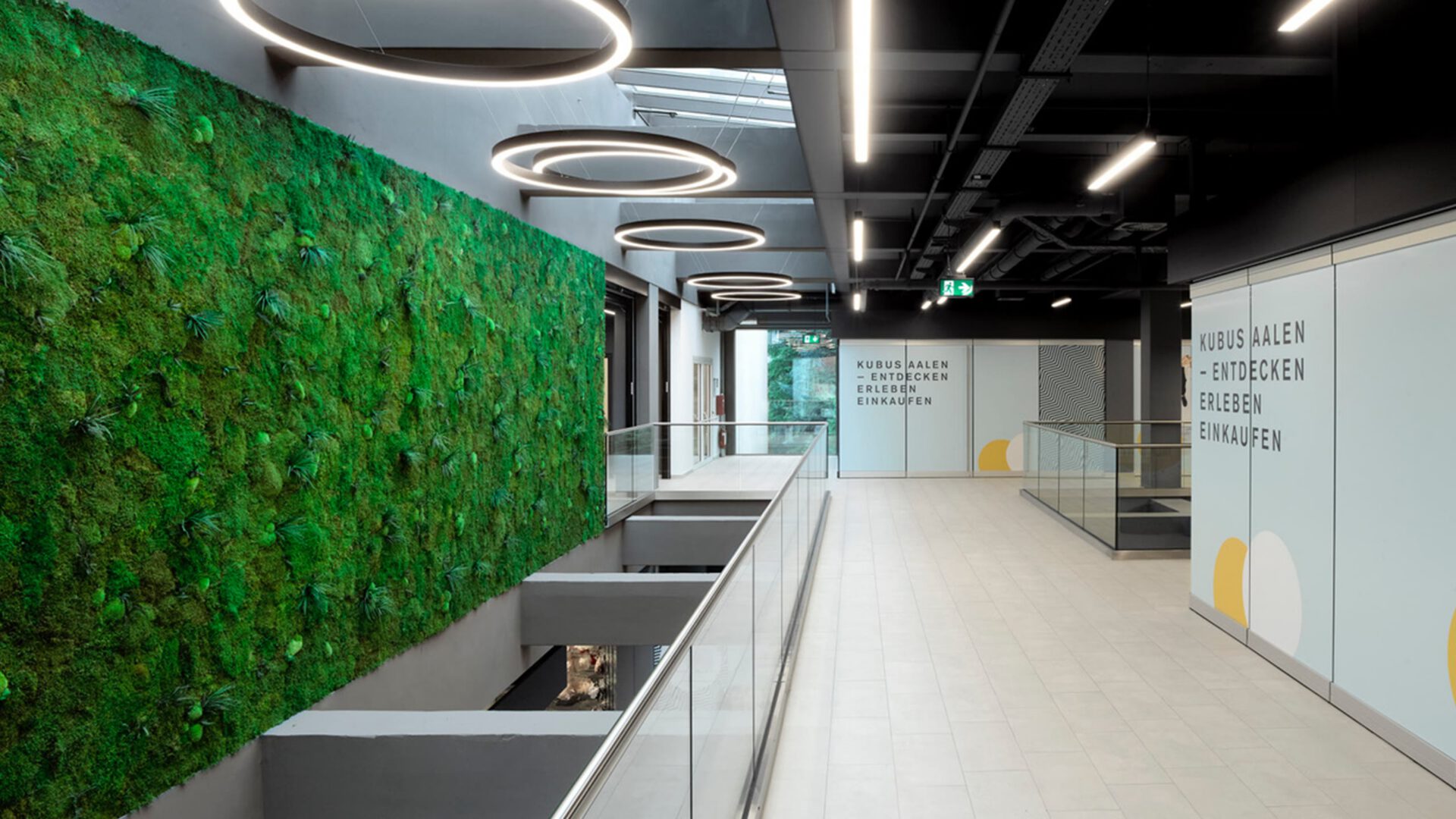 Begrünte Mooswand an der Galerie im KUBUS Aalen