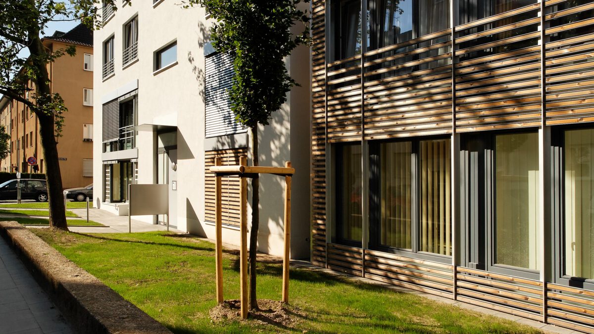 Sülzerbucht in Köln, Fassadendetail mit vorgesetzten Holzlamellen und neu gepflanztem Baum