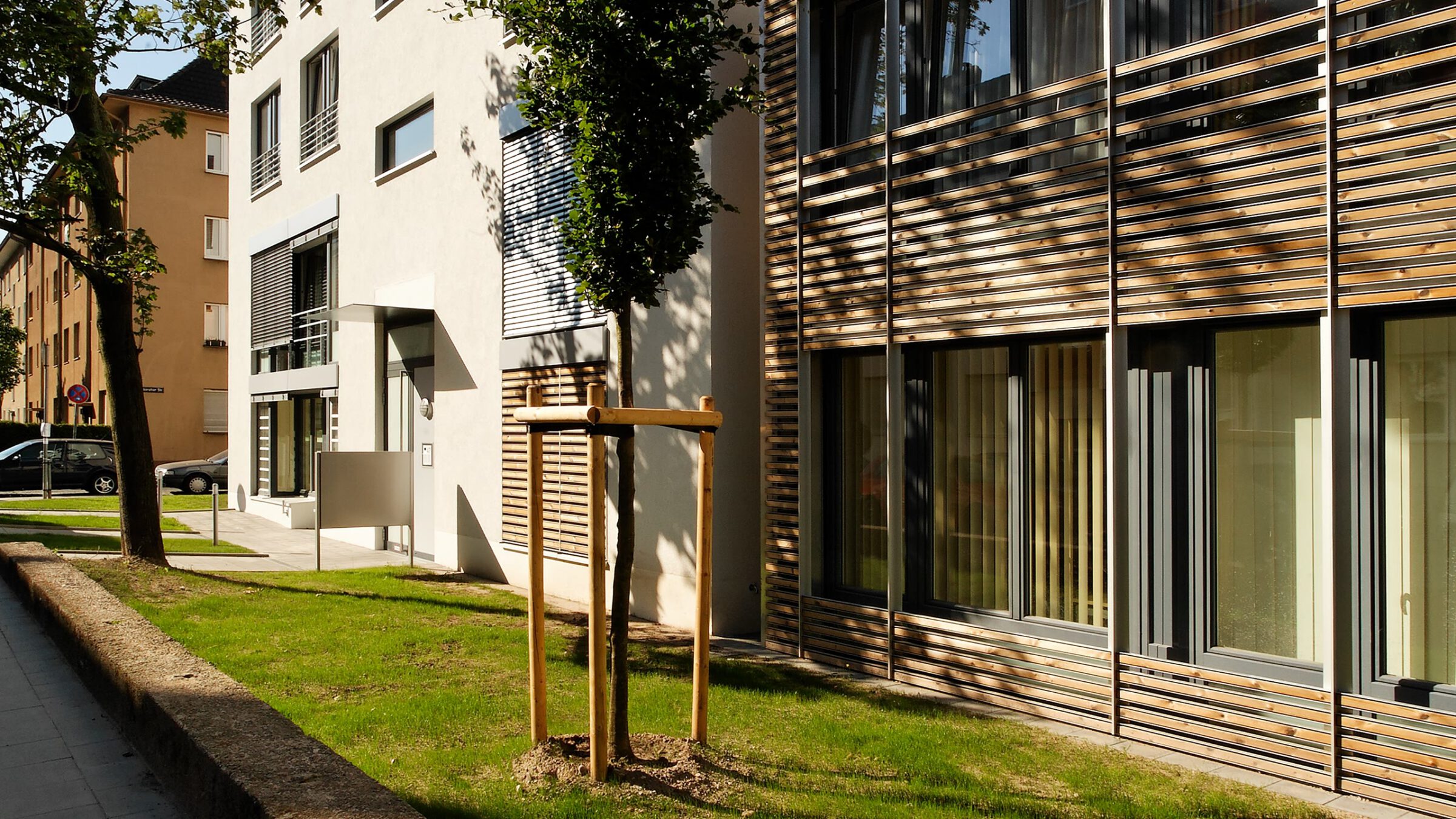 Sülzerbucht in Köln, Fassadendetail mit vorgesetzten Holzlamellen und neu gepflanztem Baum